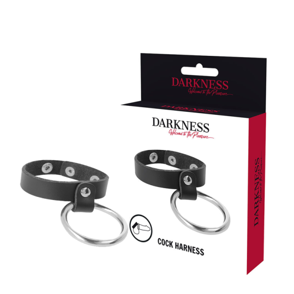 DARKNESS - ANNEAU MÉTALLIQUE POUR LE PÉNIS ET LES TESTICULES – Image 2