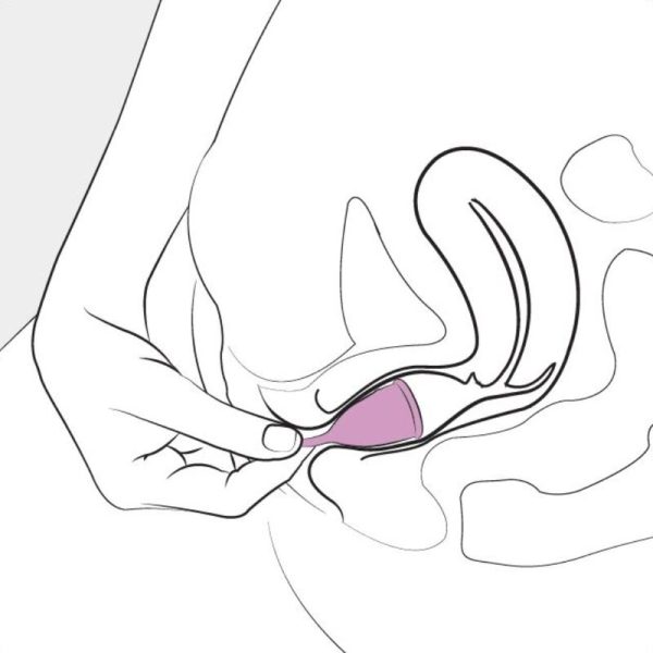 FEMINTIMATE - COUPE MENSTRUELLE EN SILICONE EVE - TAILLE L – Image 5