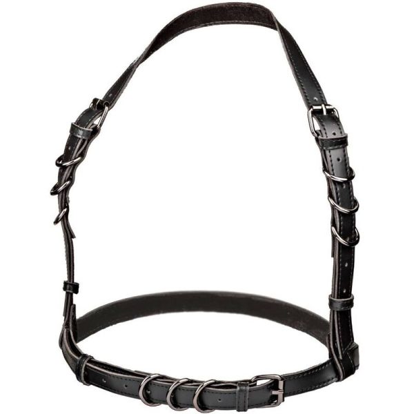 CALEXOTICS - EUPHORIA HARNAIS BOUCLE LICOL TAILLE PLUS NOIR – Image 4