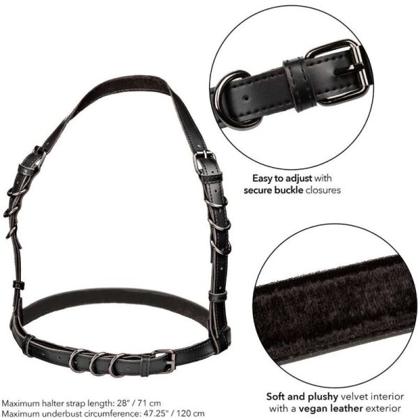 CALEXOTICS - EUPHORIA HARNAIS BOUCLE LICOL TAILLE PLUS NOIR – Image 5
