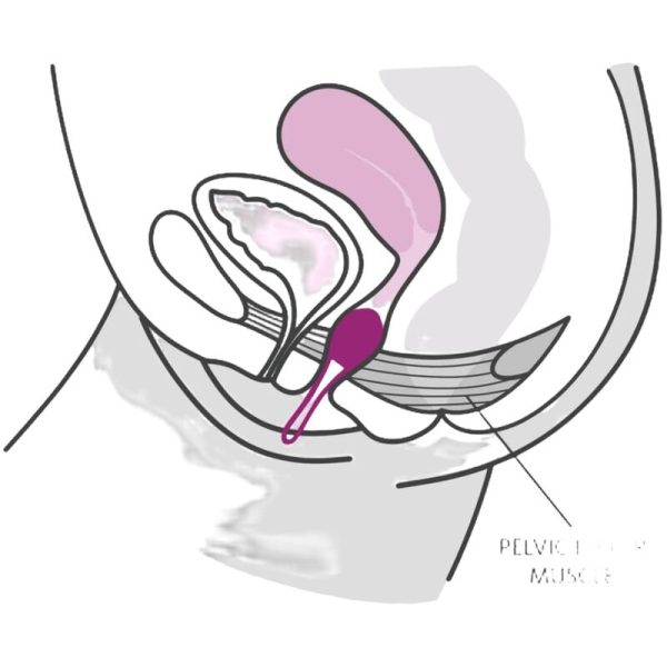 FUN FACTORY - SMARTBALL UNO PELVIC BALL BLANC / VIOLET PASTEL – Image 3