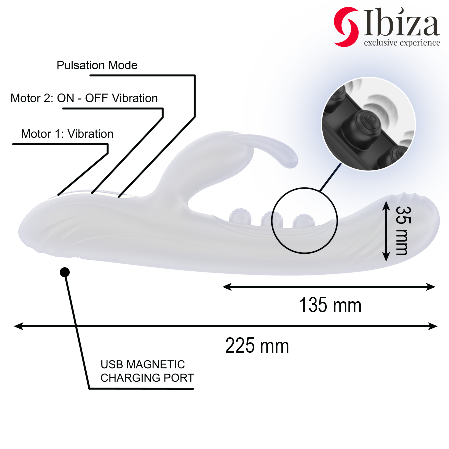 IBIZA - LAPIN VIBRANT À PULSATION – Image 5